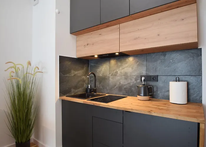 Rentplanet - Kasprowicza 아파트 코워브제크